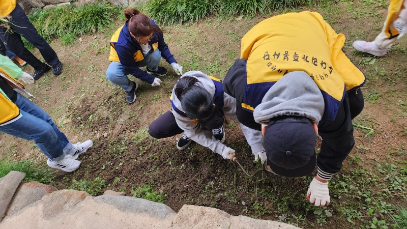 송아리가족봉사단_사진_20241021_7.jpg